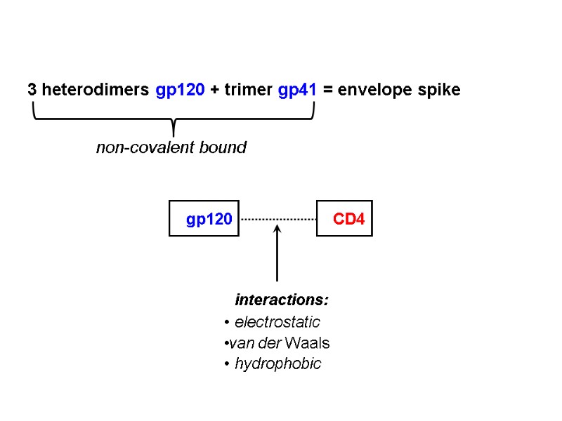 3 heterodimers gp120 + trimer gp41 = envelope spike non-covalent bound gp120 CD4 interactions: